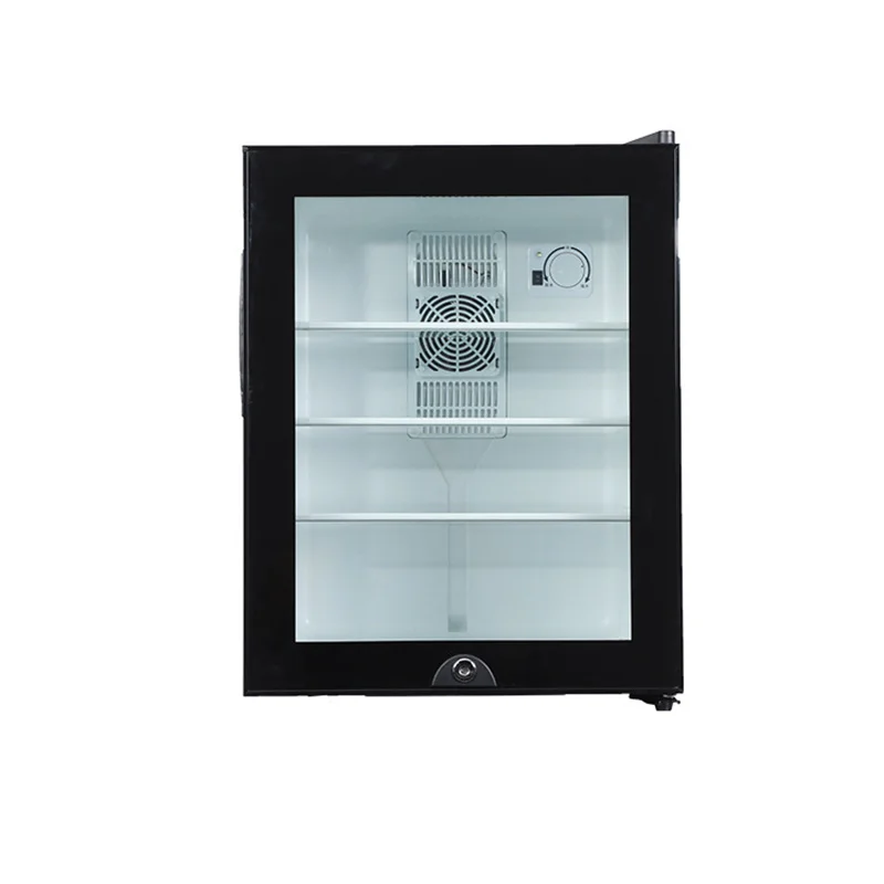 Wine Beer Mini Fridge - Mini Koelkast Koeler 40L Koelkast Glazen