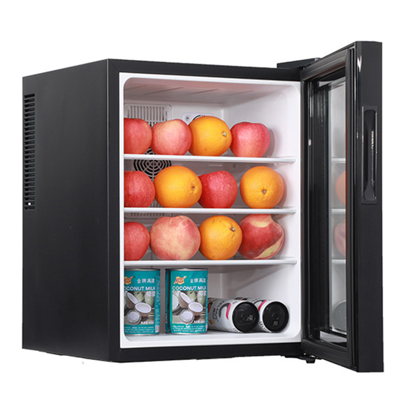 Mini Koelkast Koeler 40L Koelk - Wine Beer Mini Fridge recensie en prijs